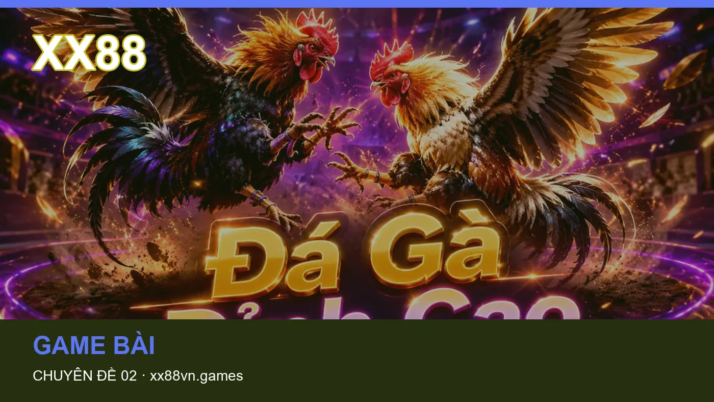 Hình minh họa bài viết XX88