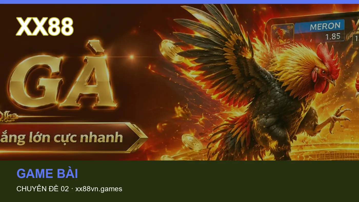 Hình minh họa bài viết XX88
